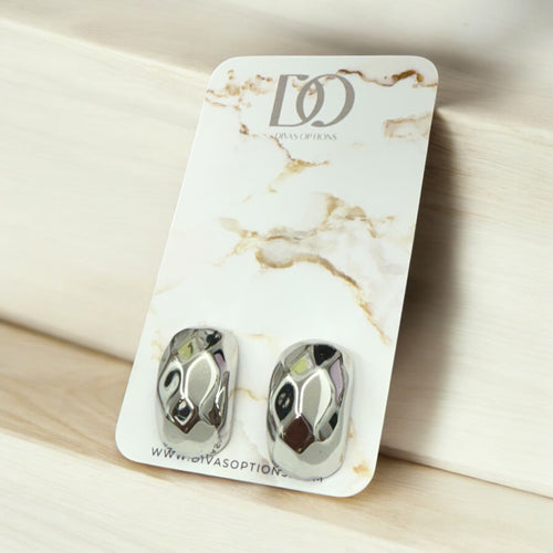 Stainless Steel Earrings