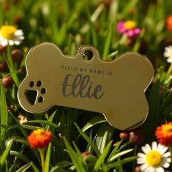Personalize Dog Tag