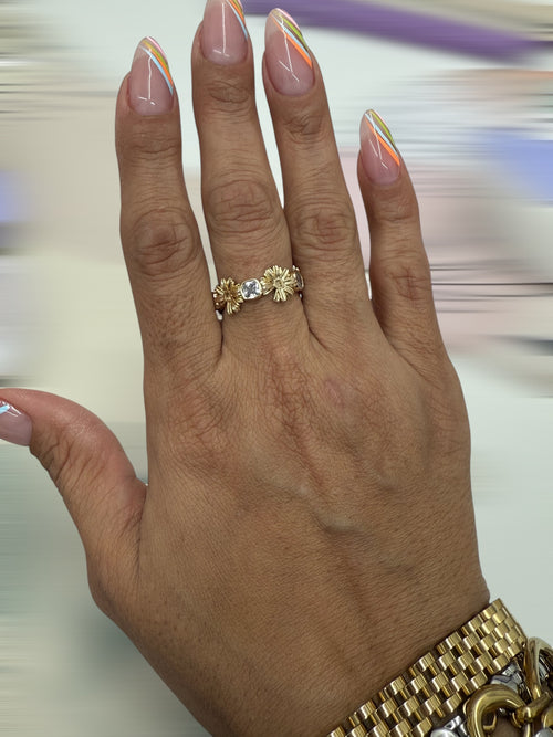 Garden Ring