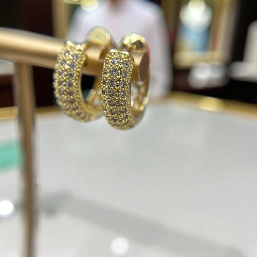 Premium Fashion Earrings