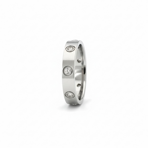 Stainless Steel Ring