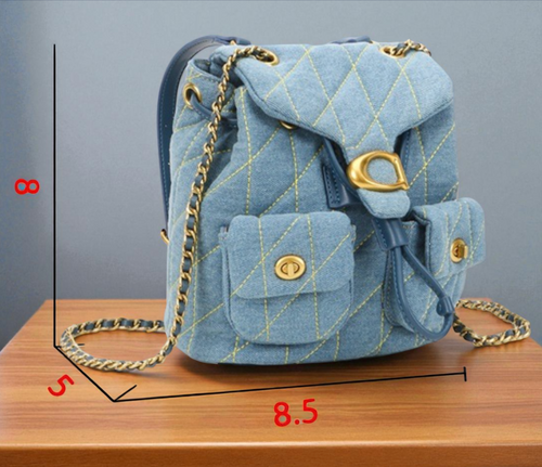 Denim Backpak