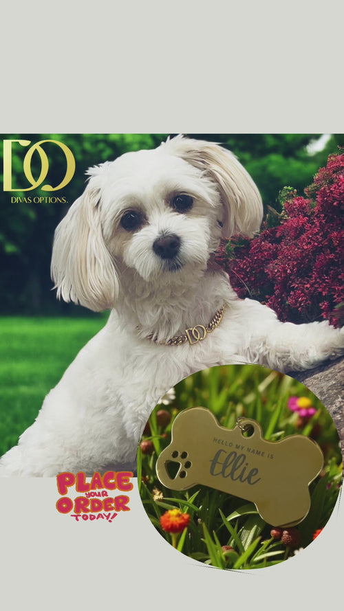 Personalize Dog Tag